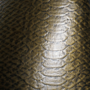 Snake Gold